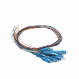 Cleerline Technology 12 Fiber Pigtails, SC/UPC, 900 µm, 9 µm OS2, 1 m