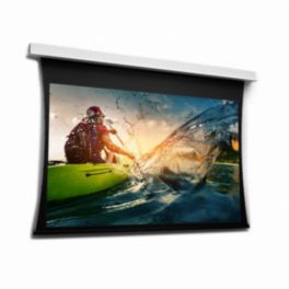 Da-Lite Da-Lite Screen Surface Tensioned DescenderPro WS 163x290 HD Progressive 0.9