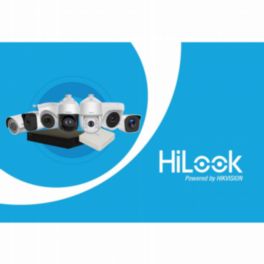 Hikvision CCTV HiLook - Cardboard Poster