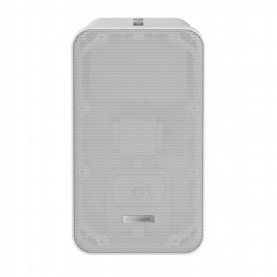 DS-QAE0420G1-V - 20W Wall speakers