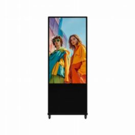 Hikvision LED Hikvision DS-D6055FN-D/W 55" Window-Facing Slim Digital Signage Display