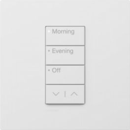 Lutron  Lutron RadioRA 3 Button Tree 3 Button with Raise/Lower Time of Day – Arctic White