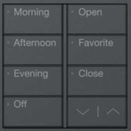 Lutron  Lutron RA3 Dual-Column Button Tree (4B / 4B, Intensity & Shade, Black)