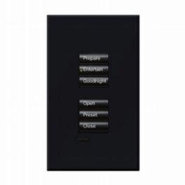 Lutron  Lutron HomeWorks® QS Wired seeTouch® Architectural Keypad – Non-Insert Style Dual Group Keypad - Black