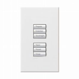 Lutron  Lutron HomeWorks® QS Wired seeTouch® Architectural Keypad – Non-Insert Style Dual Group Keypad - Whit