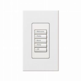 Lutron  Lutron HomeWorks® QS Wired seeTouch® Architectural Keypad – Insert Style 5 Button Keypad - White