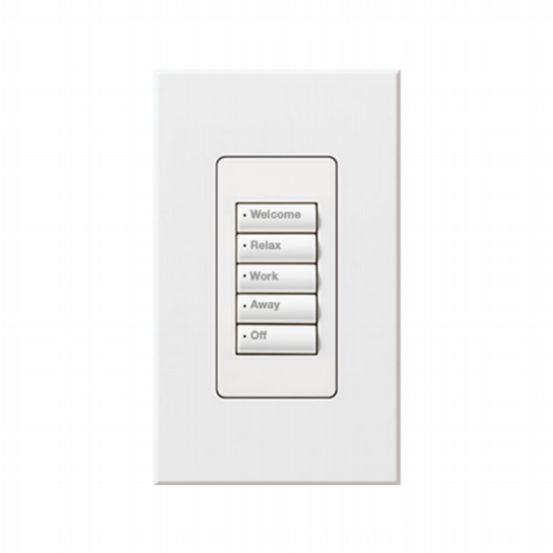 Lutron HomeWorks® QS Wired seeTouch® Architectural Keypad – Insert Style 5 Button Keypad - White