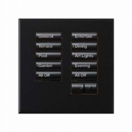 Lutron  Lutron Wired International seeTouch® Keypad – Non-Insert Style 10 Button with Raise/Lower - Mica