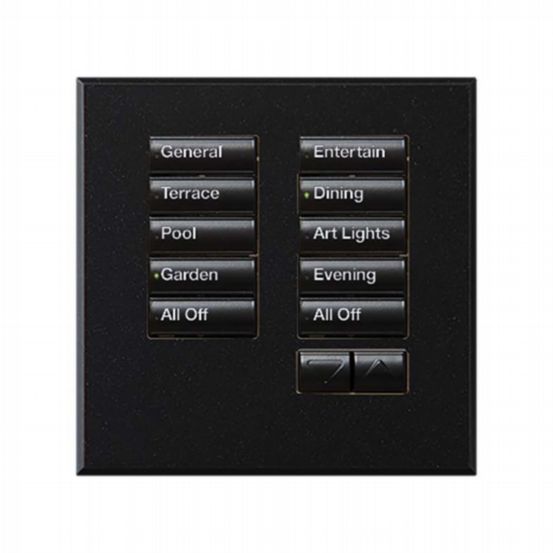 Lutron Wired International seeTouch® Keypad – Non-Insert Style 10 Button with Raise/Lower - Mica