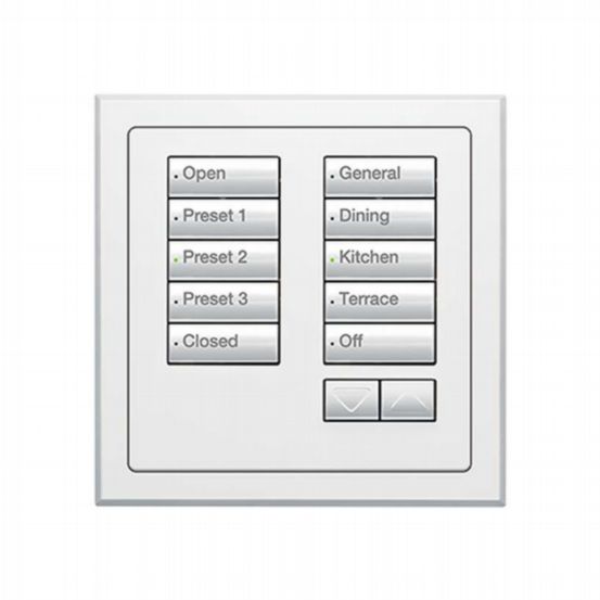 Lutron Wired International seeTouch® Keypad – Insert Style 10 Button with Raise/Lower - Arctic White