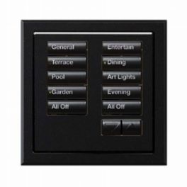 Lutron  Lutron Wired International seeTouch Keypad -  Insert Style 10 Button with Raise/Lower - Mica