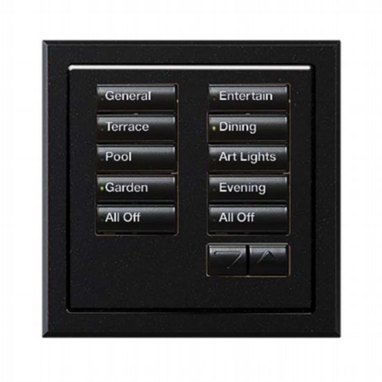Lutron Wired International seeTouch Keypad -  Insert Style 10 Button with Raise/Lower - Mica
