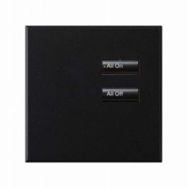 Lutron  Lutron Wired International seeTouch® Keypad – Non-Insert Style 2 Button - Mica