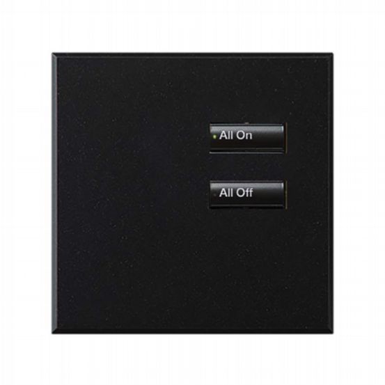 Lutron Wired International seeTouch® Keypad – Non-Insert Style 2 Button - Mica