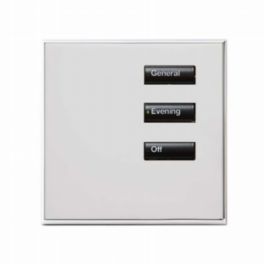 Lutron  Lutron Wired International seeTouch® Keypad – 3 Button (Non-Insert) – Bright Chrome