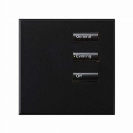 Lutron  Lutron Wired International seeTouch® Keypad – 3 Button (Non-Insert) – Mica