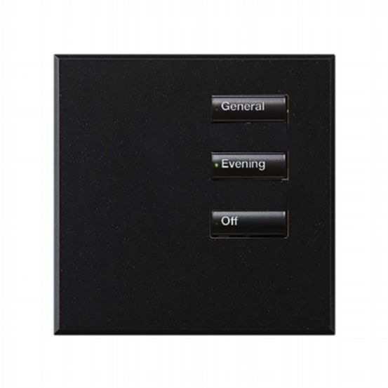 Lutron Wired International seeTouch® Keypad – 3 Button (Non-Insert) – Mica
