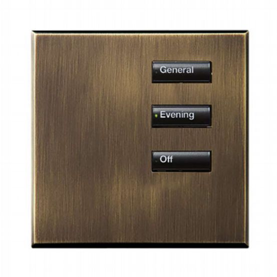 Lutron Wired International seeTouch® Keypads – Non-Insert Style 3 Button Non-Insert - Antique Brass