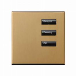 Lutron  Lutron Wired International seeTouch® Keypad – 3 Button (Non-Insert) – Satin Brass