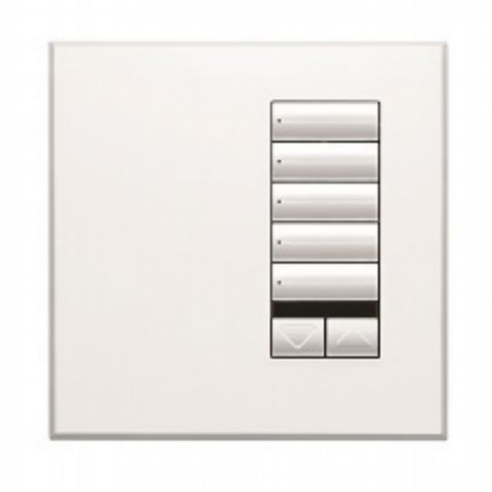 Lutron Wired International seeTouch® Keypad – 5 Button with Raise/Lower and IR (Non-Insert) – Arctic White