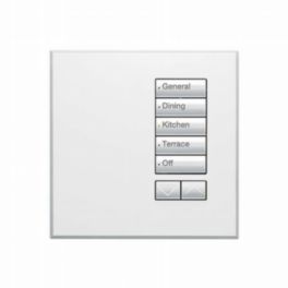 Lutron  Lutron Wired International seeTouch® Keypad – 5 Button with Raise/Lower (Non-Insert) – Arctic White