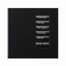 Lutron  Lutron Wired International seeTouch® Keypads – Non-Insert Style 5 Button Non-Insert with Raise/Lower - Mica