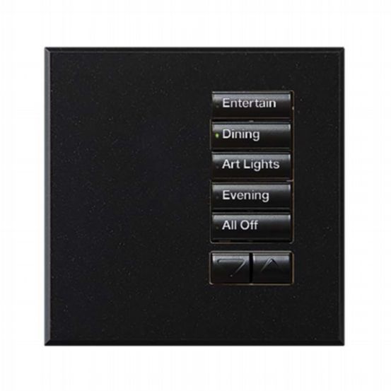 Lutron Wired International seeTouch® Keypads – Non-Insert Style 5 Button Non-Insert with Raise/Lower - Mica