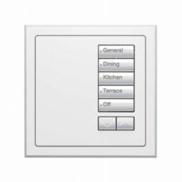 Lutron  Lutron Wired International seeTouch® Keypads – Insert Style 5 Button with Raise/Lower - Arctic White