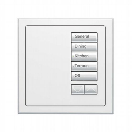 Lutron Wired International seeTouch® Keypads – Insert Style 5 Button with Raise/Lower - Arctic White