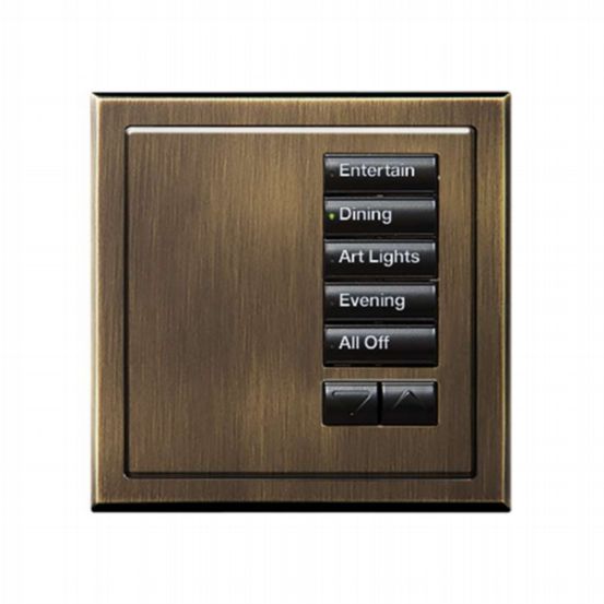 Lutron Wired International seeTouch® Keypad – 5 Button with Raise/Lower (Insert Style) – Antique Brass