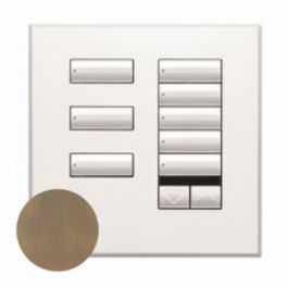 Lutron  Lutron Wired International seeTouch® Keypad – 8 Button with Raise/Lower & IR (Non-Insert) – Antique Brass