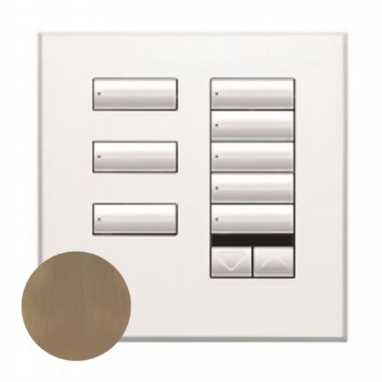 Lutron Wired International seeTouch® Keypad – 8 Button with Raise/Lower & IR (Non-Insert) – Antique Brass