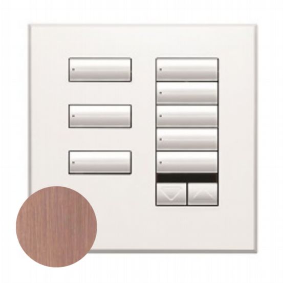 Lutron Wired International seeTouch® Keypad – 8 Button with Raise/Lower & IR (Non-Insert) – Antique Bronze