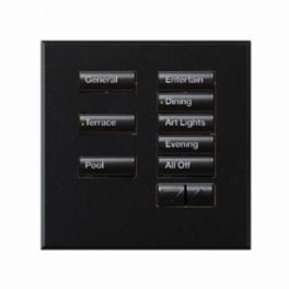 Lutron  Lutron Wired International seeTouch® Keypads – Non-Insert Style 8 Button with Raise/Lower - Mica