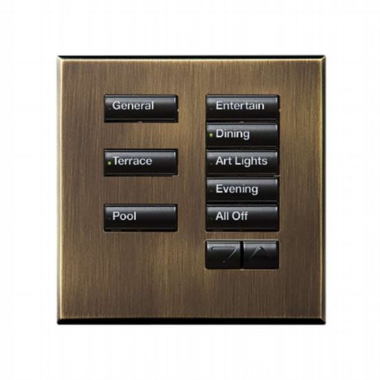 Lutron Wired International seeTouch® Keypads – Non-Insert Style 8 Button with Raise/Lower - Antique Brass