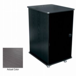 Middle Atlantic Middle Atlantic MFR-2027A3 MFR Series Mobile Furniture Rack – Asian Night – 20U