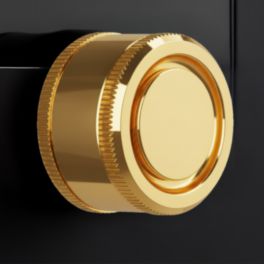 Polar Bear Design Polar Bear Design Digital Crown – Polished Lacquered Brass