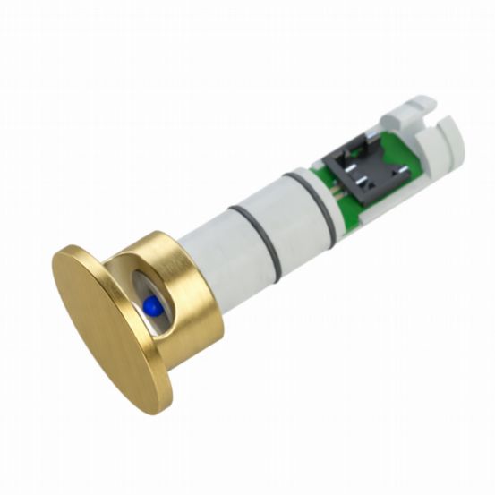 Polar Bear Design WL4 12mm Wall Sensor Tip – Brushed Brass (Pack of 10)