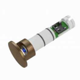 Polar Bear Design Polar Bear Design WL4 12mm Wall Sensor Tip – Aged Brass (Pack of 10)