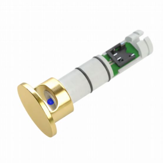 Polar Bear Design WL4 12mm Wall Sensor Tip – Bright Brass (Pack of 10)