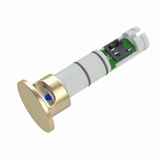 Polar Bear Design WL4 12mm Wall Sensor Tip – Satin Brass (Pack of 10)