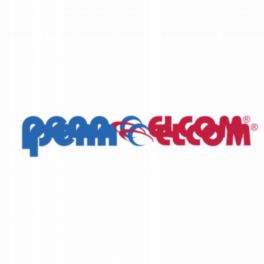 Penn Elcom Penn Elcom 4U Black Rack with 10/32 Rails - 560 x 510mm