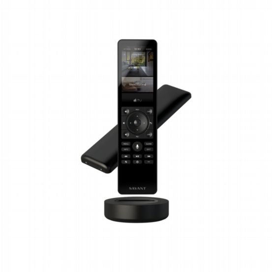 Remote - Pro Remote X2 - International version