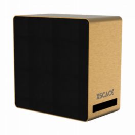 XSCACE XSCACE Acacia 10 Standard Passive 10-inch On-Wall Subwoofer