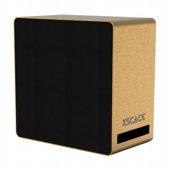 XSCACE Acacia 6 Standard Passive 6-inch On-Wall Subwoofer
